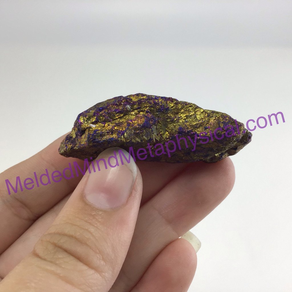 MeldedMind Rainbow Chalcopyrite Rough Specimen ~48mm Stone of Power Mineral 202