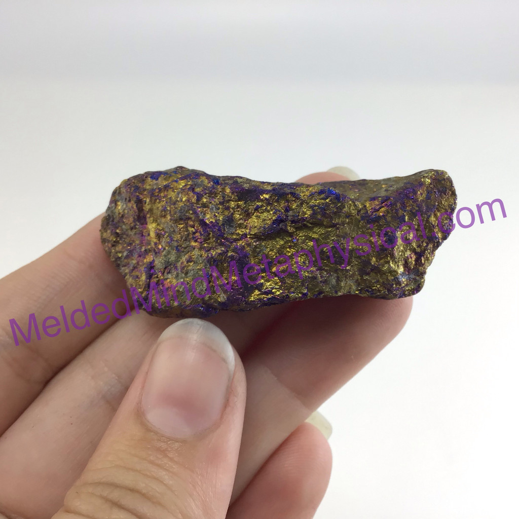 MeldedMind Rainbow Chalcopyrite Rough Specimen ~48mm Stone of Power Mineral 202