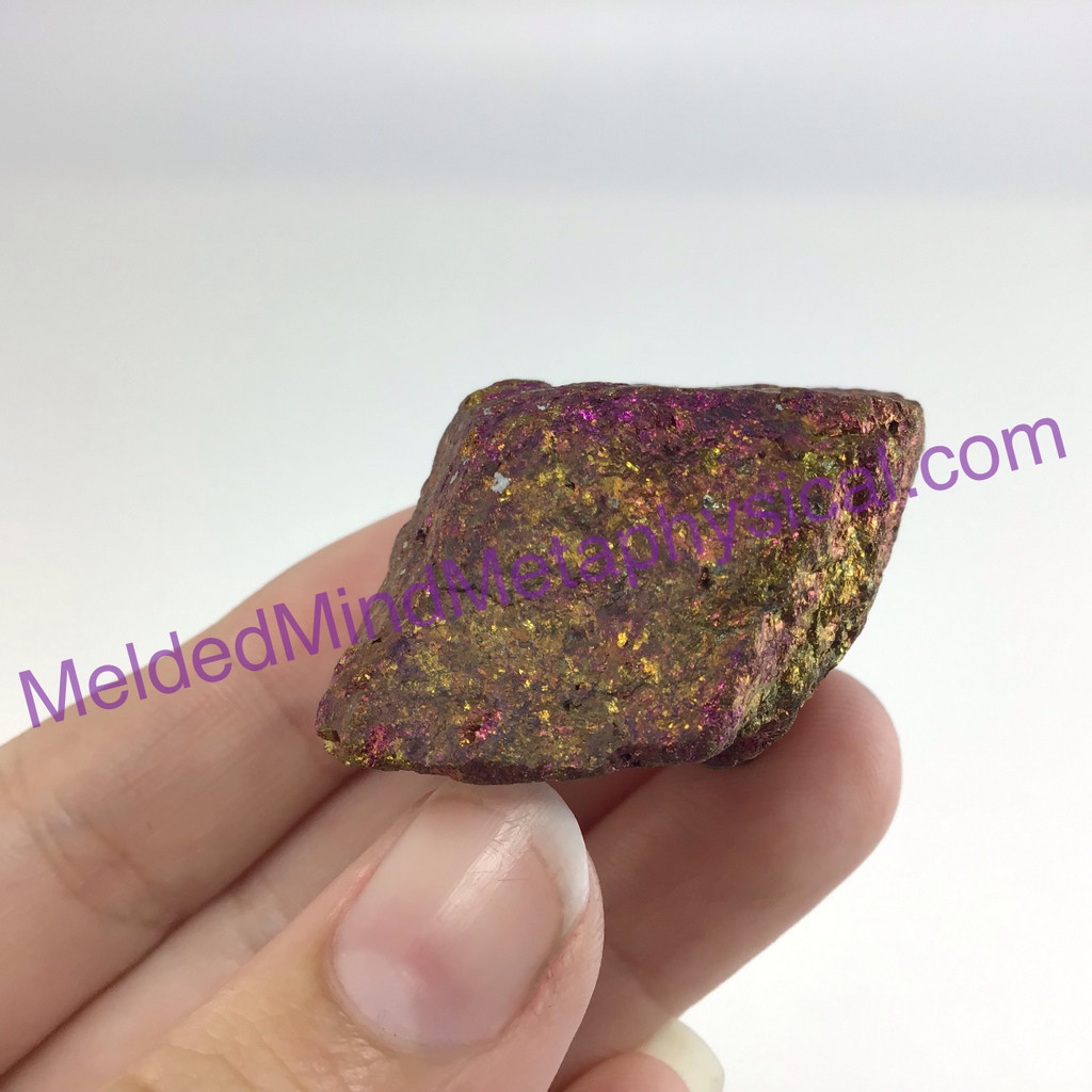 MeldedMind Rainbow Chalcopyrite Rough Specimen ~46mm Stone of Power Mineral 203