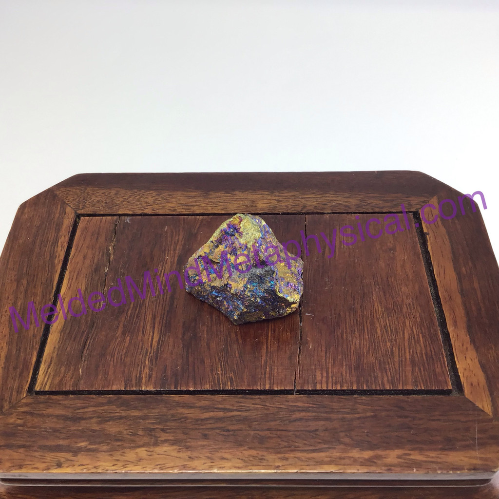 MeldedMind Rainbow Chalcopyrite Rough Specimen ~39mm Stone of Power Mineral 205