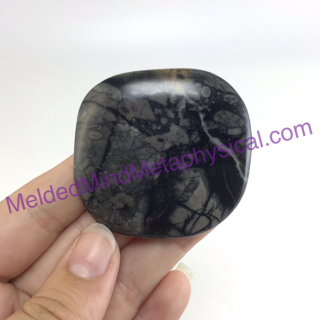 MeldedMind Spider Web Jasper Palm 1.89in Stone Smooth Black Lines Pocket 106