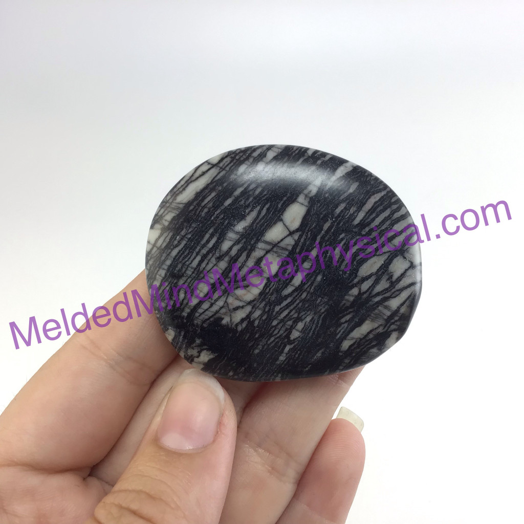 MeldedMind Spider Web Jasper Palm 1.94in Stone Smooth Black Lines Pocket 109