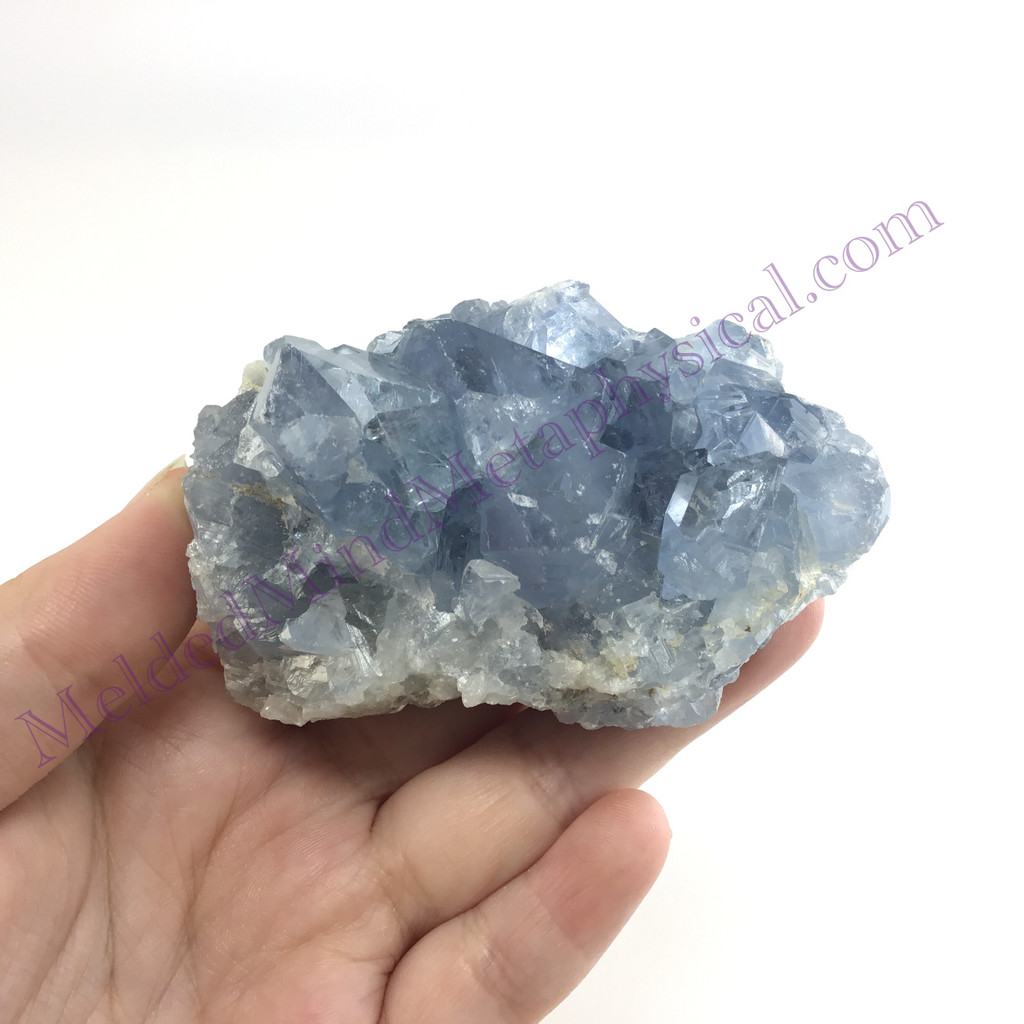 MeldedMind Raw Celestite Cluster Specimen 3.05in Natural Blue Crystal 520