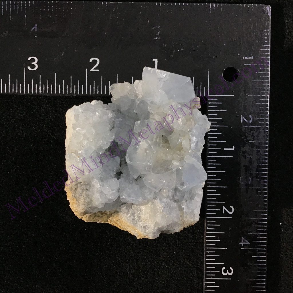 MeldedMind Raw Celestite Cluster Specimen 2.41in Natural Blue Crystal 523
