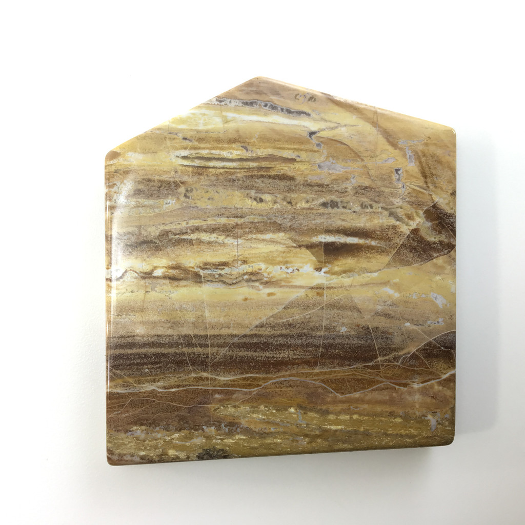 MeldedMind Grade "A" Polished Petrified Wood Slab 2.28in Pentagon Ancient 063