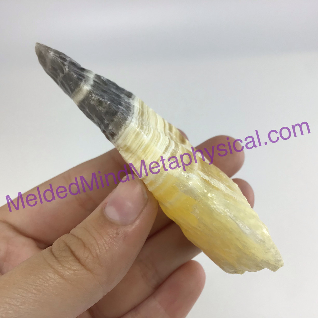 MeldedMind Phantom Banded Zebra Calcite 3.43in Natural Golden Black Crystal 167