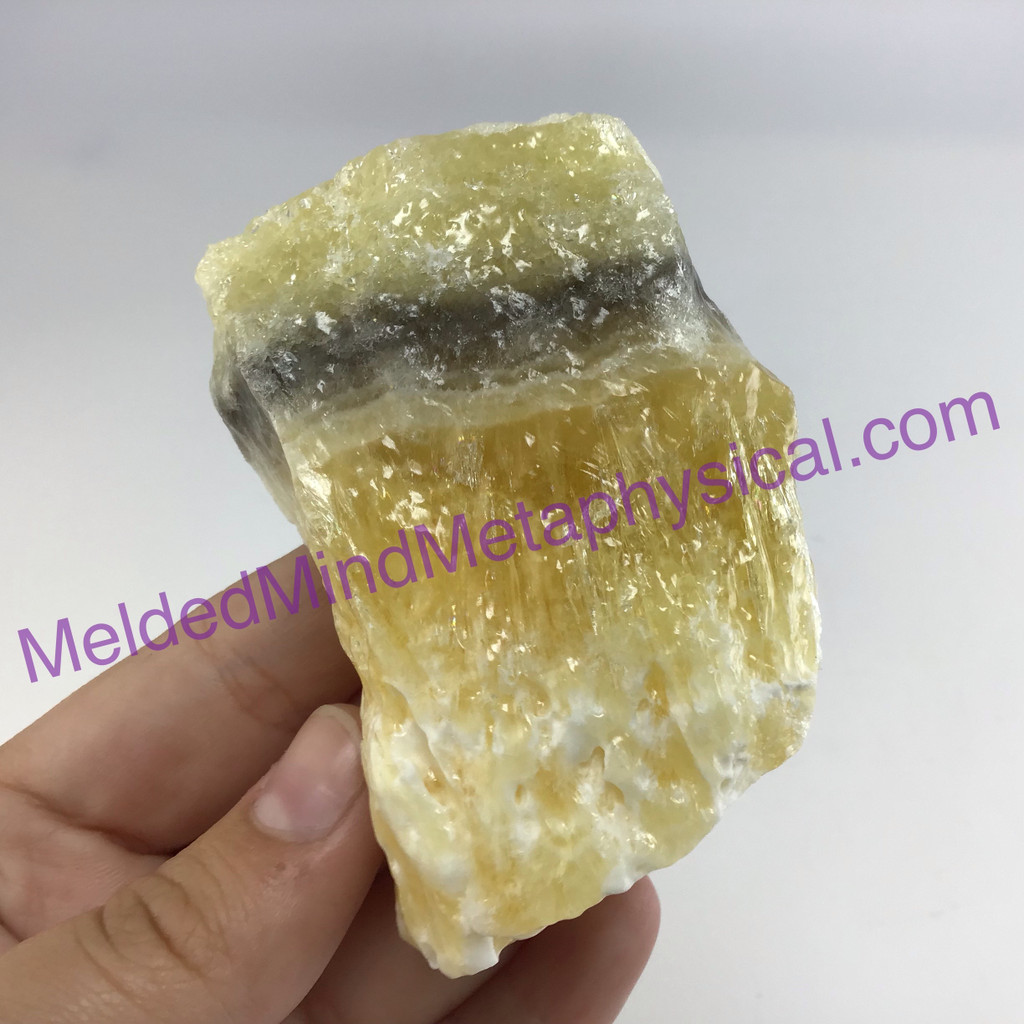 MeldedMind Phantom Banded Zebra Calcite 2.74in Natural Golden Black Crystal 166