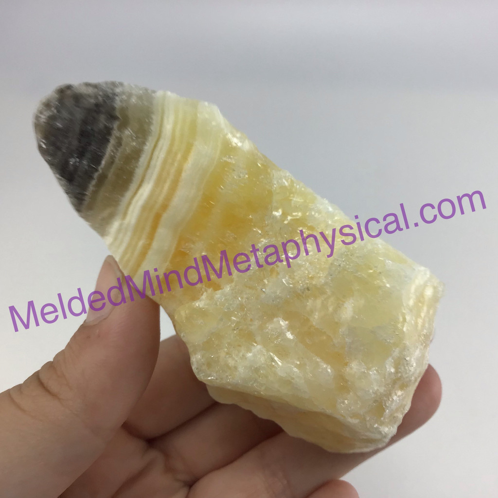 MeldedMind Phantom Banded Zebra Calcite 3.67in Natural Golden Black Crystal 165