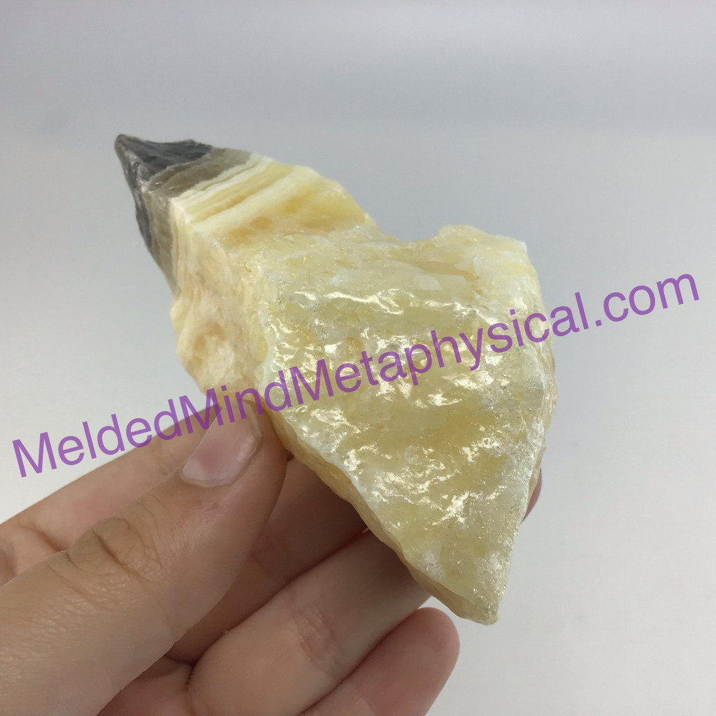 MeldedMind Phantom Banded Zebra Calcite 3.67in Natural Golden Black Crystal 165