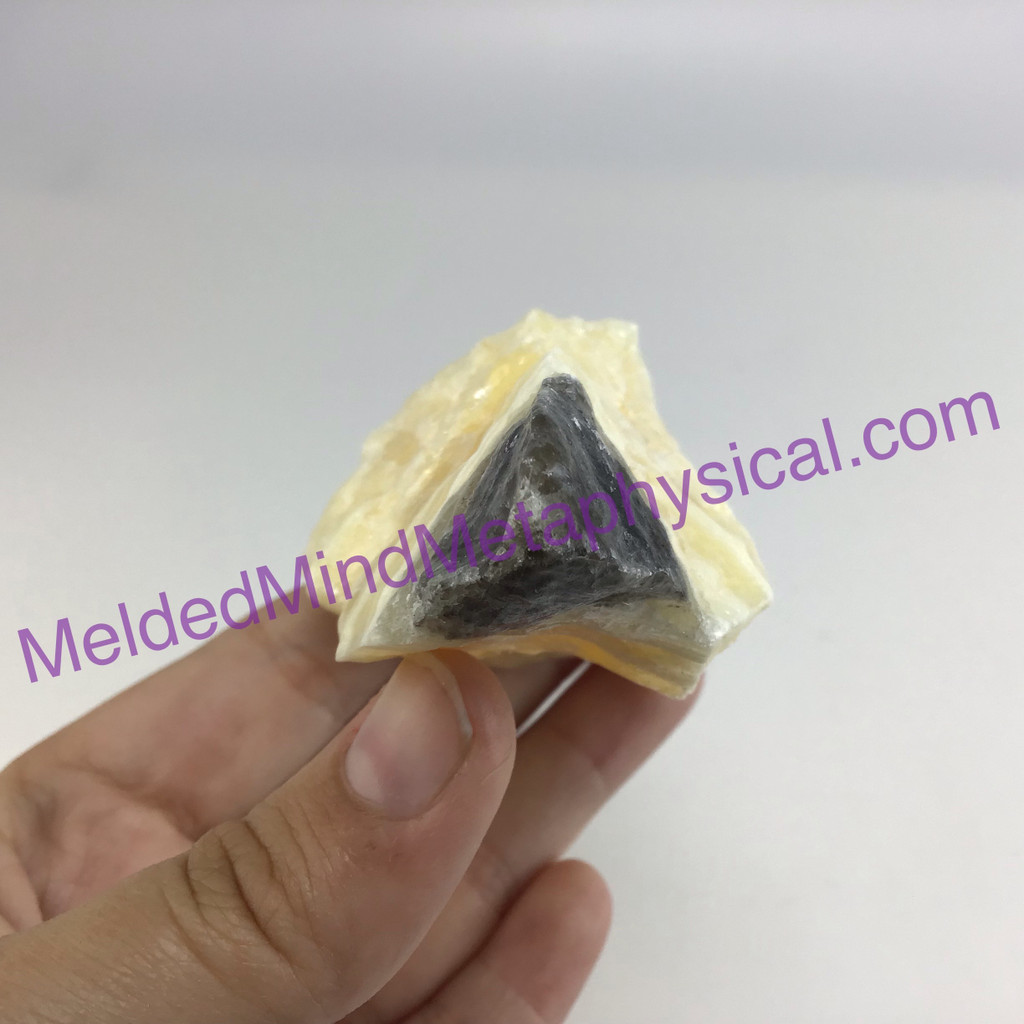 MeldedMind Phantom Banded Zebra Calcite 3.67in Natural Golden Black Crystal 165