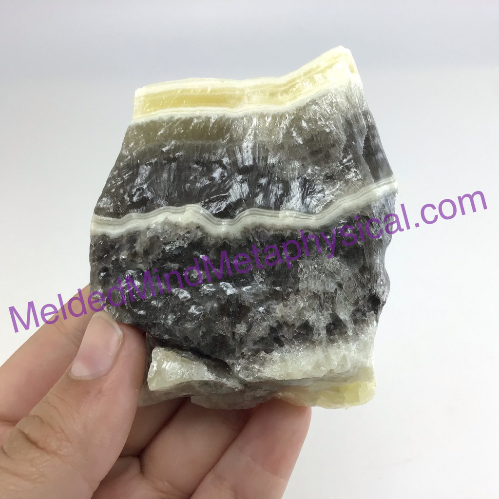 MeldedMind Phantom Banded Zebra Calcite 2.86in Natural Golden Black Crystal 171