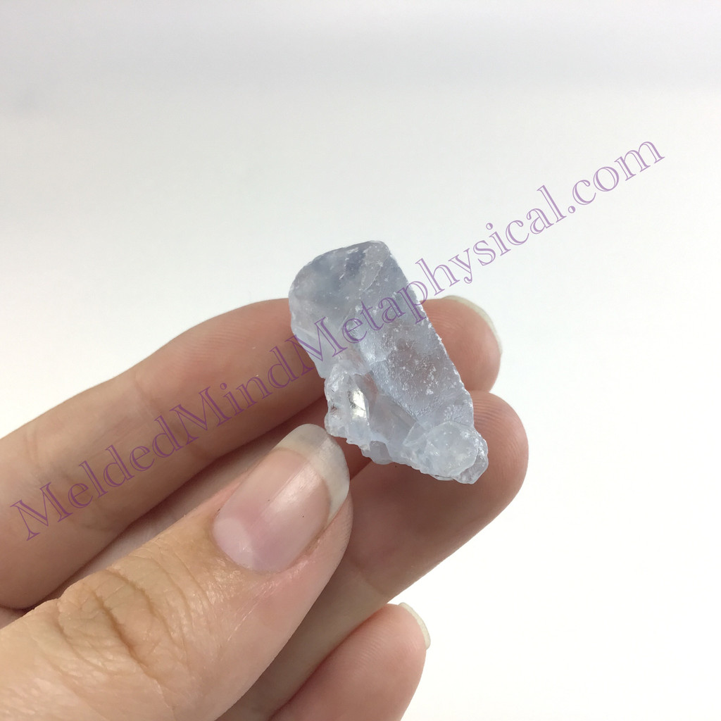 MeldedMind Small Celestite Specimen 1.08in Natural Light Blue Crystal Angel 485