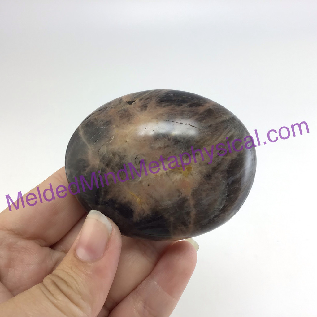 MeldedMind Black Moonstone Palm Stone 2.43in Natural Gallet Crystal 193