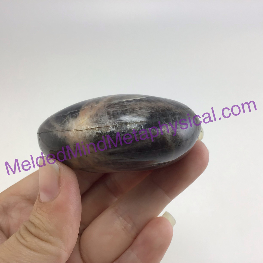 MeldedMind Black Moonstone Palm Stone 2.43in Natural Gallet Crystal 193