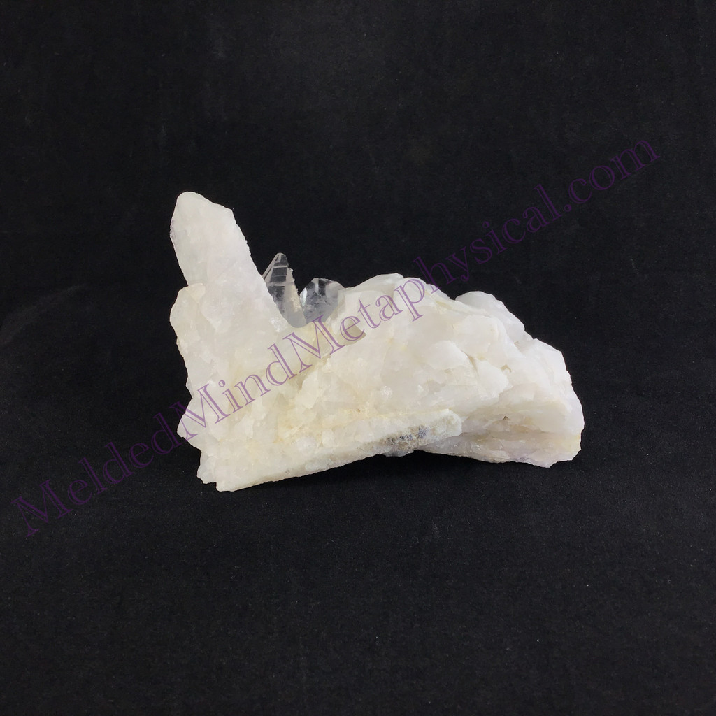 MeldedMind Fairy Dust Warrior Quartz 3.56in Natural White Crystal 940