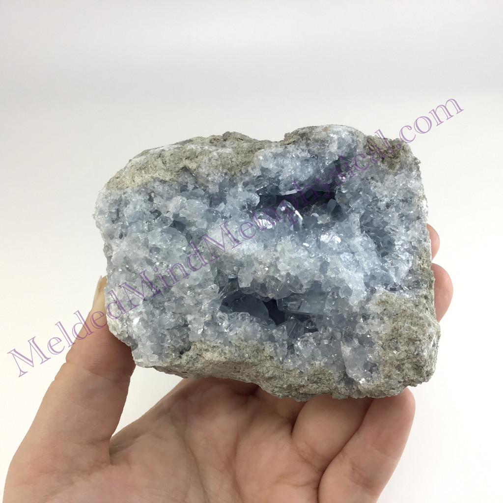 MeldedMind Celestite Specimen 3.54in Natural Light Blue Crystal 510