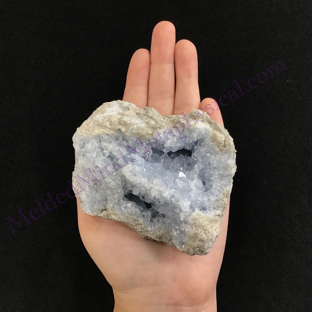 MeldedMind Celestite Specimen 3.54in Natural Light Blue Crystal 510