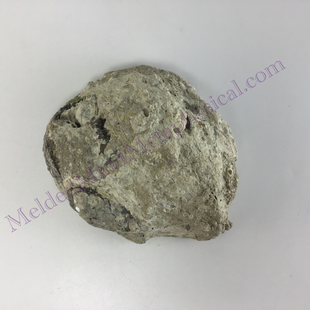 MeldedMind Quartz Geode 4.53in Natural Druzy Crystal 550