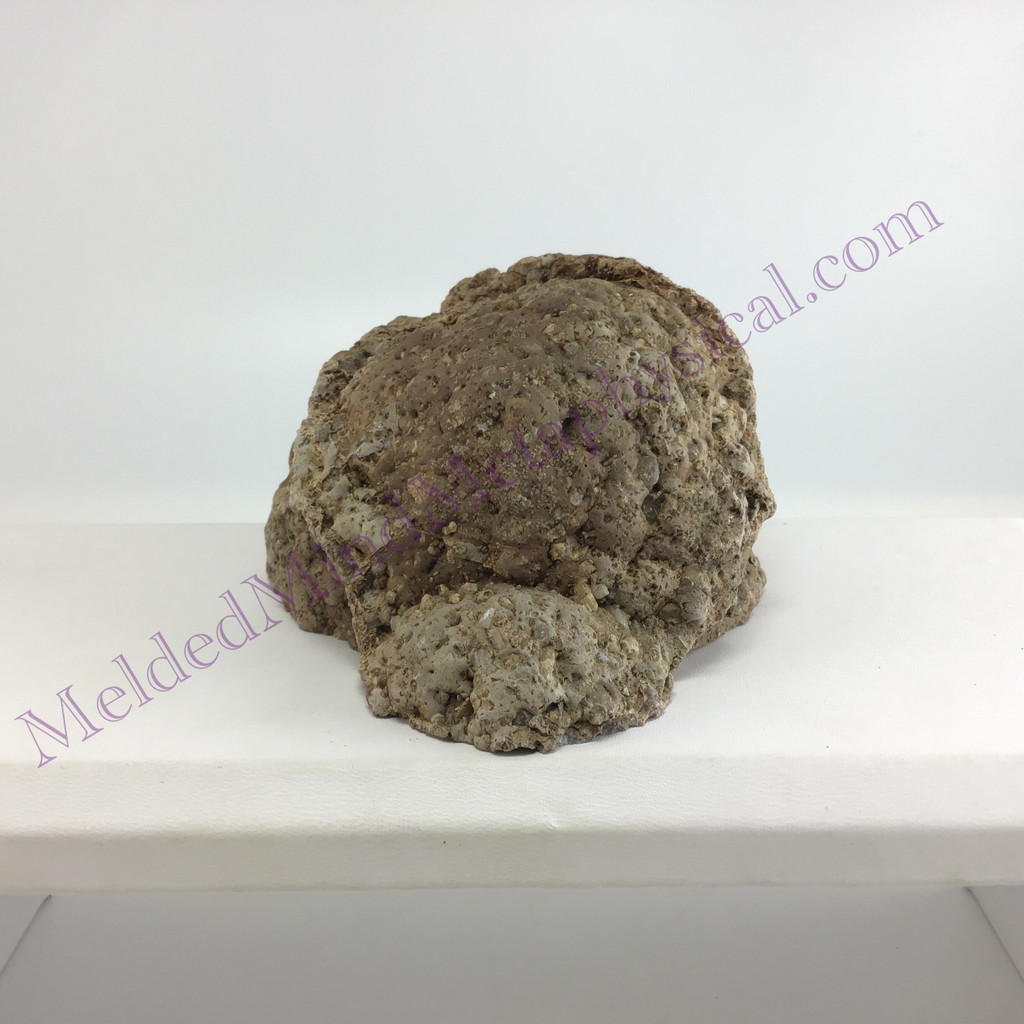 MeldedMind Quartz Geode 4.27in Natural Stone Crystal 549