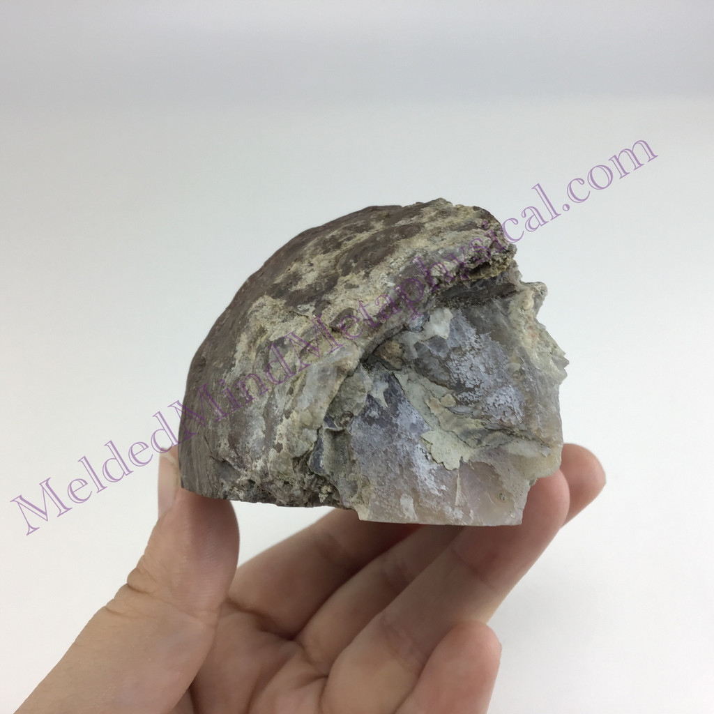 MeldedMind Quartz Geode 3.34in Natural Stone Crystal 551