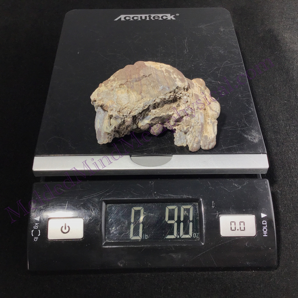 MeldedMind Quartz Geode 3.34in Natural Stone Crystal 551