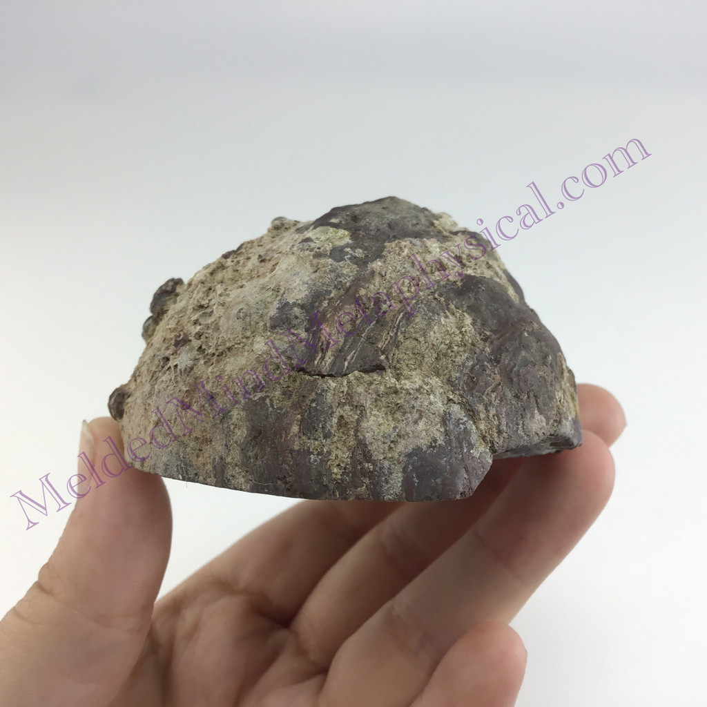 MeldedMind Quartz Geode 3.35in Natural Stone Crystal 553