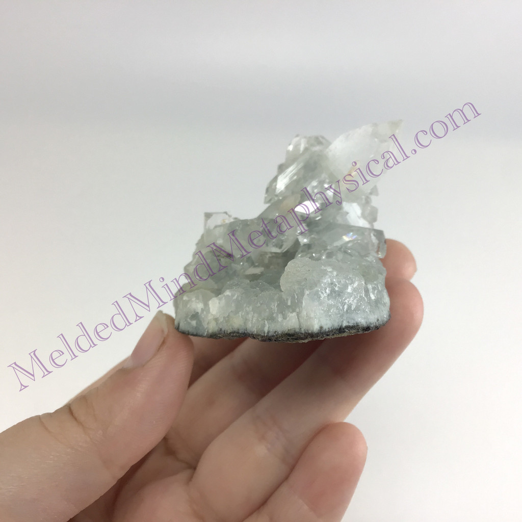 MeldedMind Apophyllite Cluster Specimen 2.82in Natural Clear Crystal 152
