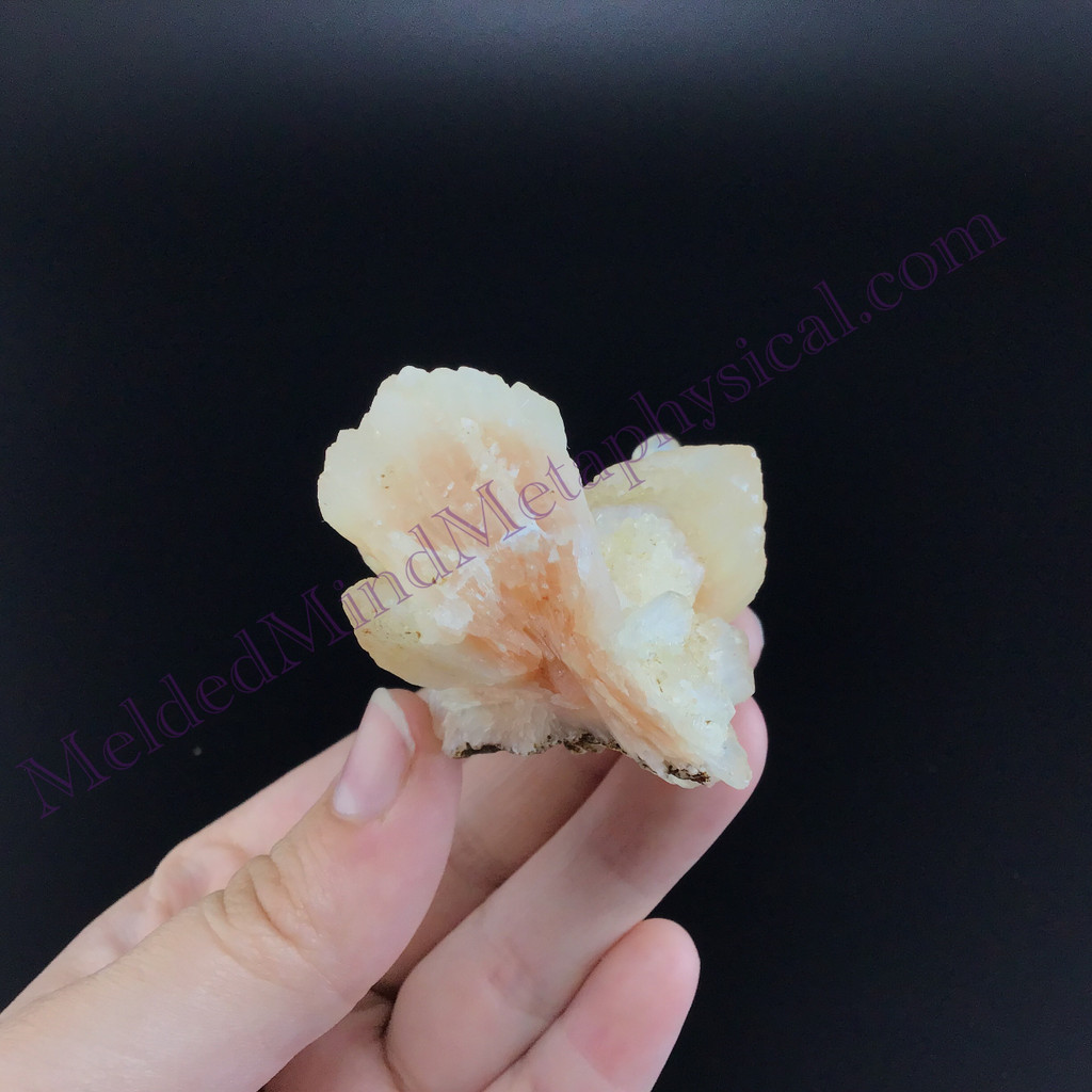 MeldedMind Stilbite Cluster Specimen 3.07in Natural Peach Crystal 156