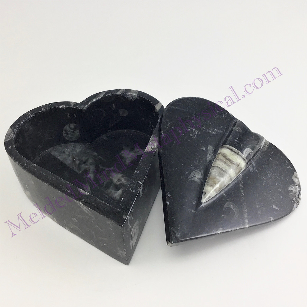 MeldedMind Orthoceras Heart Jewelry Box 4.25in Natural Black Stone 071
