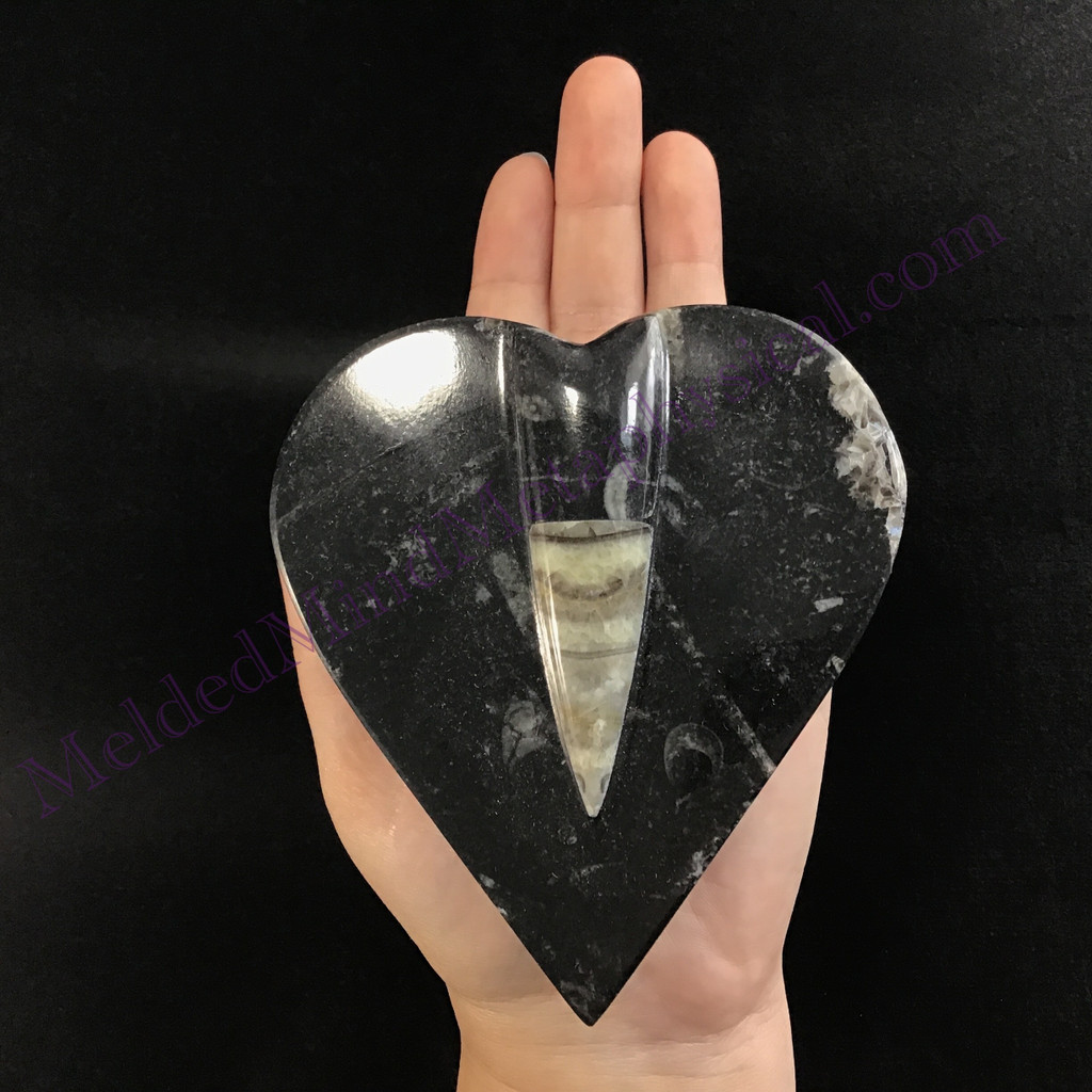 MeldedMind Orthoceras Heart Jewelry Box 4.25in Natural Black Stone 071