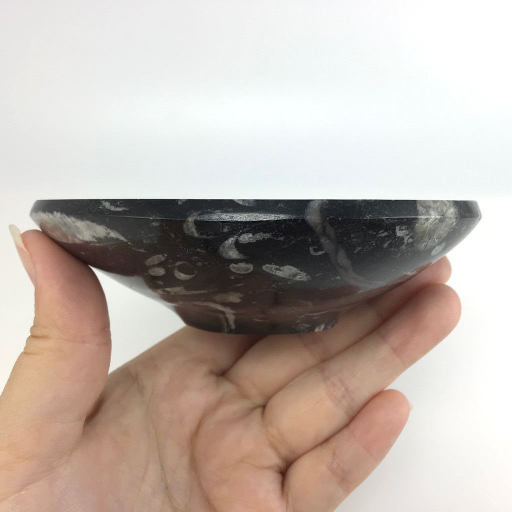 MeldedMind Orthoceras Bowl with Clear Quartz Tumbles Natural Black Stone 286