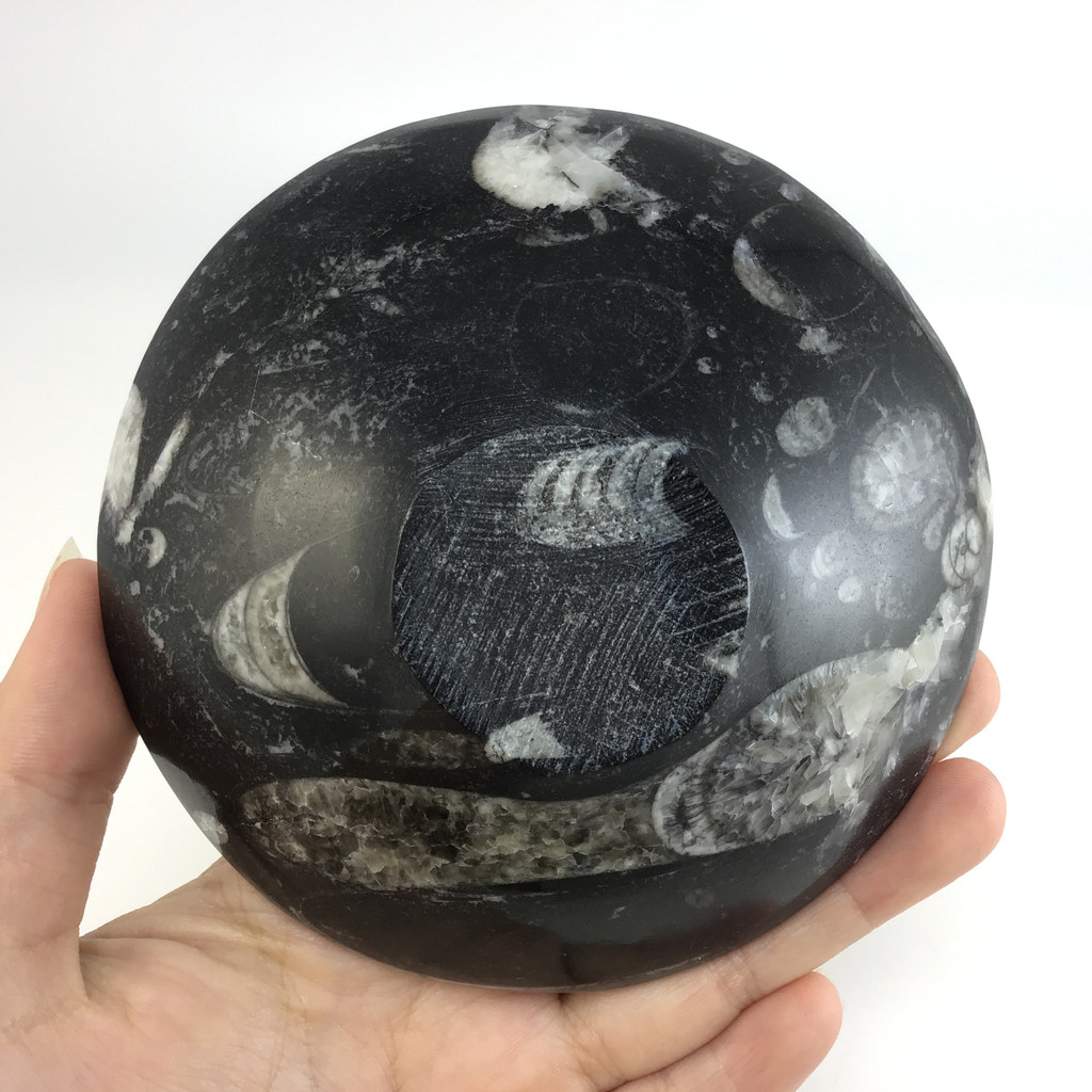 MeldedMind Orthoceras Bowl with Clear Quartz Tumbles Natural Black Stone 288