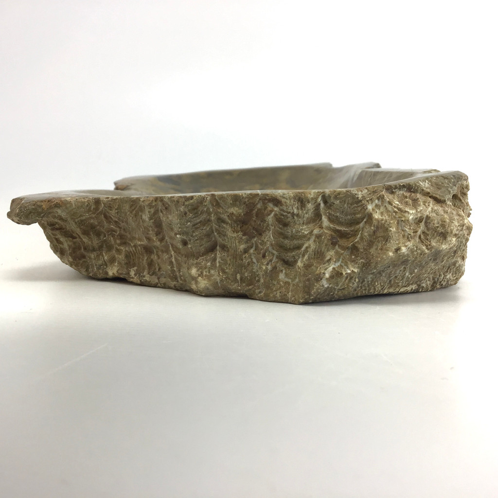 MeldedMind Fossil Coral Bowl w/ Clear Quartz Tumbles & An Ammolite Specimen 177