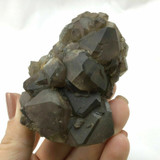 MeldedMind Beta Smoky Morion Quartz Specimen 3.07in Brazil Crystal 1901-331