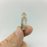 Phantom Quartz Crystal Specimen 180329 28mm Ancient Protection and Healing