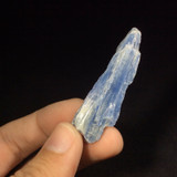 Natural Rough Raw Blue Kyanite Blade Specimen 171169 Stone of Connections