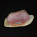 Agatized Fossil Coral 170887 39g Metaphysical Emotional Balance Healing 