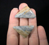 Triangular Jasper Cabochon Earring Pair 170802 Artist Supply Tan Gray Picture