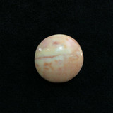 Round Agatized Fossil Coral Cabochon 170806 Red Yellow Gemstone Jewelry  