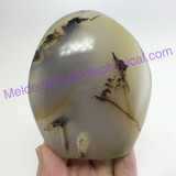 MeldedMind Polished Dendritic Agate 3.72in Natural Inclusions Crystal 148