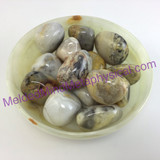 MeldedMind One (1) Indian Agate Tumble "A" 2 Sizes Natural Brown Crystal 040