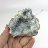 MeldedMind Raw Celestite Cluster Specimen 3.05in Natural Blue Crystal 522