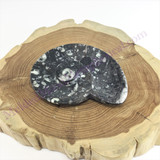 MeldedMind Orthoceras Fossil Incense Holder 4.25in Natural Black Stone 051