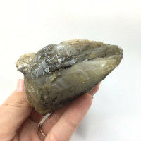 Very Rare Actinolite Included Clear Quartz 181106-87mm Shighan Gilsit Pakistan