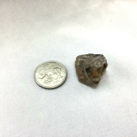 MeldedMind Single Terminated Smoky Phantom Quartz Natural Grey Crystal 1902-237