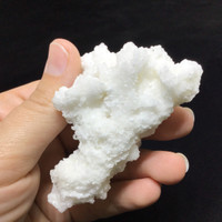 MeldedMind White Coral Cave Calcite Cluster Specimen 3.36in Natural Crystal 247