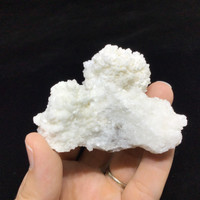 MeldedMind White Coral Cave Calcite Cluster Specimen 3.14in Natural Crystal 248