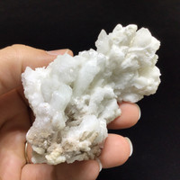 MeldedMind White Coral Cave Calcite Cluster Specimen 3.51in Natural Crystal 251