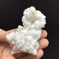 MeldedMind White Coral Cave Calcite Cluster Specimen 3.51in Natural Crystal 251