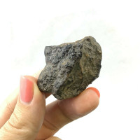 Botryoidal Hematite Specimen 44g 1902-092 Taouz Morocco Mineral Black